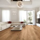 Cognac Oak | Diversity Kitchen Bath & Tile